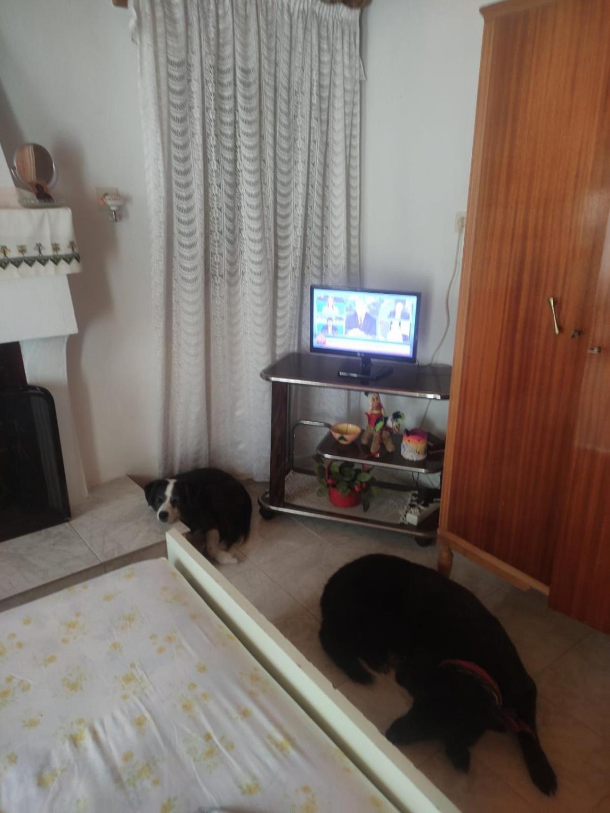 Traditional Cozy House Apartment *