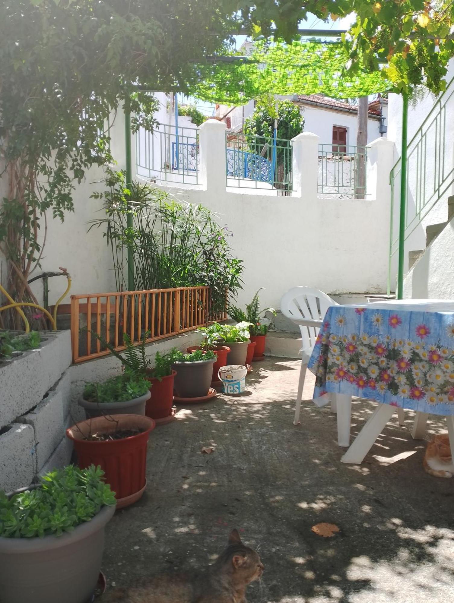 Traditional Cozy House * Trikeri