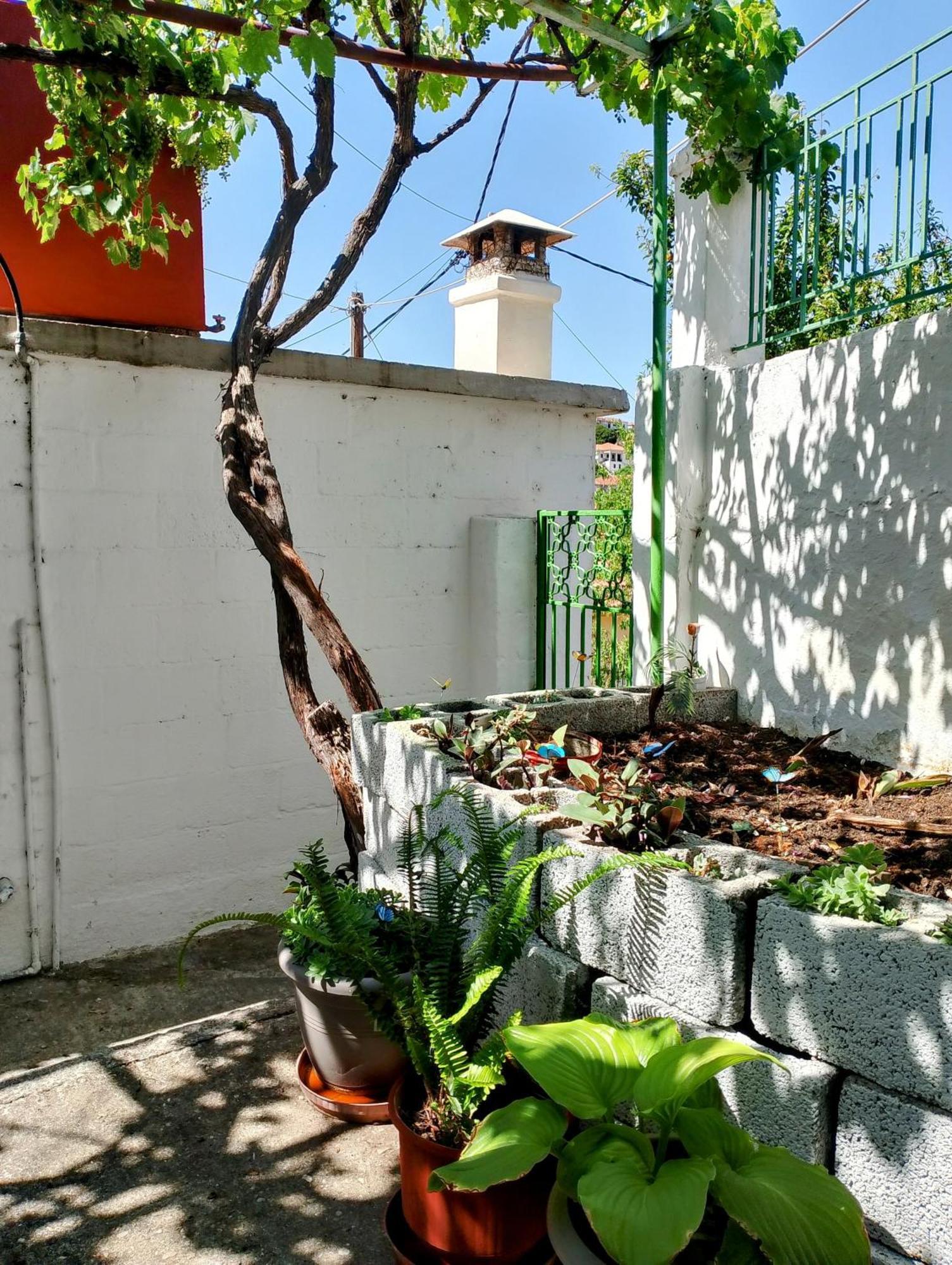Traditional Cozy House Trikeri